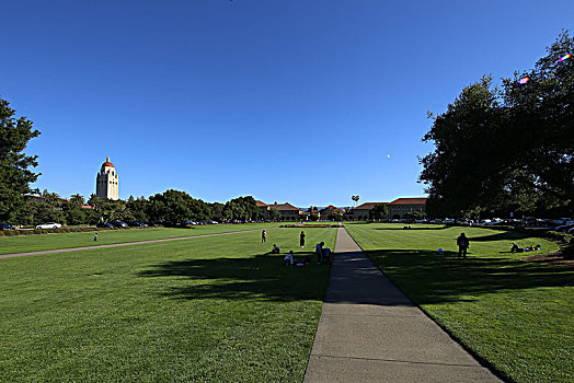 斯坦福大学