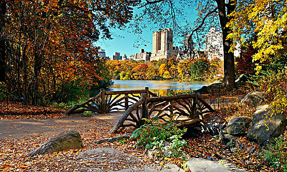 中央公园,秋天,建筑,曼哈顿中城,纽约