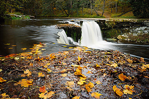 瀑布,秋天,落叶,前景,长时间曝光,图像