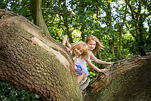 两个女孩,攀登,树,树林