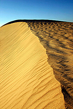 沙丘,南邦国家公园,西澳大利亚州,澳大利亚