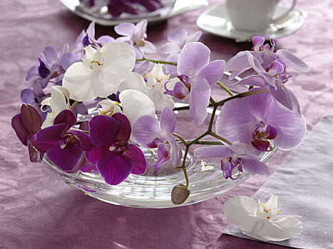 兰花,玻璃碗,桌饰