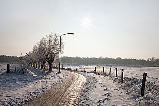 乡村,冰,道路,雪,冬天