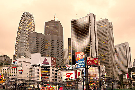 新宿,东京,关东地区,本州,日本