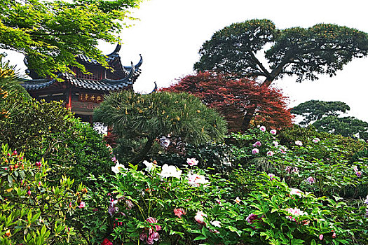 花港观鱼牡丹亭