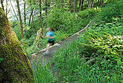 女青年,越野跑,泻湖,地方公园,靠近,维多利亚,温哥华岛,不列颠哥伦比亚省,加拿大