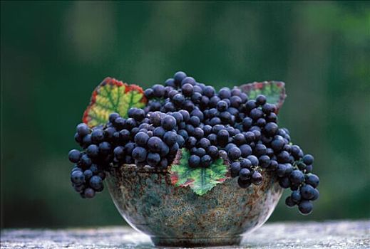 碗,酿红酒用葡萄,户外