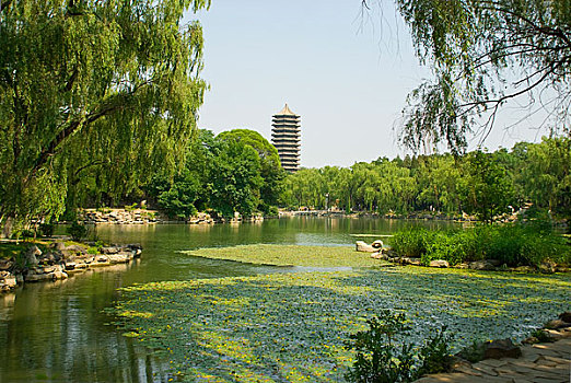 中国北京大学一塔湖图