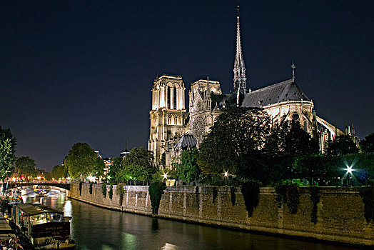 法国,巴黎,夜晚,巴黎圣母院