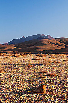 荒漠景观,富埃特文图拉岛,加纳利群岛,西班牙,欧洲