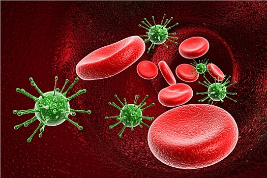 血细胞,病毒