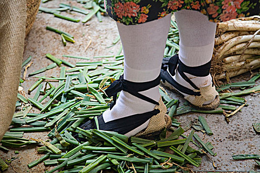 女人,传统服装,站立,叶子