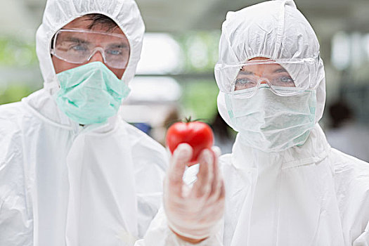 两个,学生,站立,实验室,拿着,西红柿