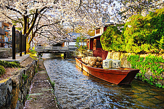 船,溪流,京都,京都府,日本