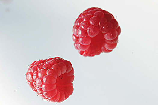 两个,树莓,正面,白色背景