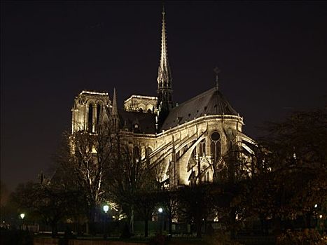 巴黎,大教堂,夜晚,法国,欧洲