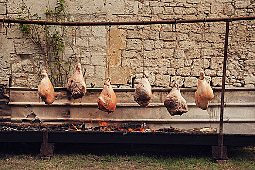 传统,法国,烤制,火腿