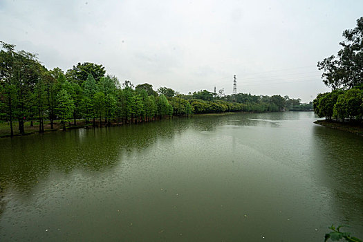 广州2023年春季华南雨中的植物园