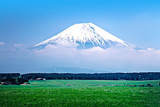 山,富士山,残雪