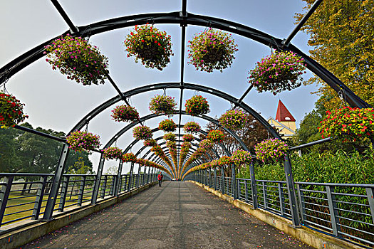 辰山植物园花廊