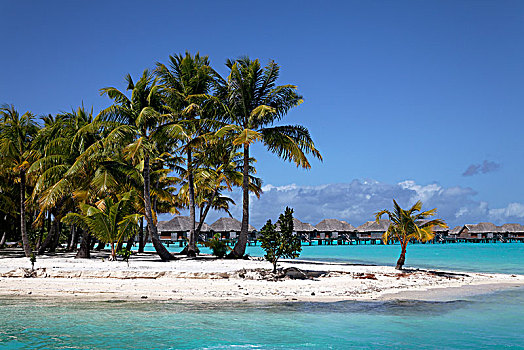 小,半岛,椰树,蓝绿色海水,后面,胜地,水,平房,岛屿,波拉波拉岛,社会群岛,法属玻利尼西亚,大洋洲