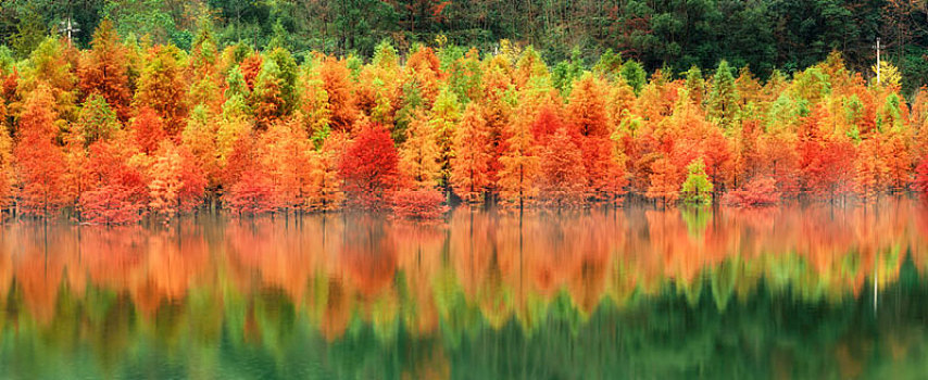 秋天湖面层林尽染