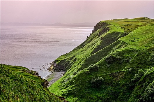 海洋,海岸线,绿色,悬崖,苏格兰高地