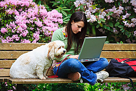 女青年,坐,公园长椅,狗,工作,笔记本电脑