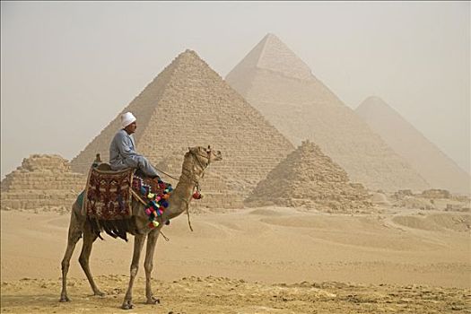 领驼人,站立,正面,吉萨金字塔,埃及