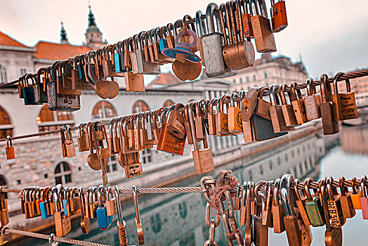 喜爱,挂锁,屠夫,桥,卢布尔雅那,斯洛文尼亚,欧洲