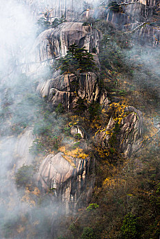 黄山云雾小景