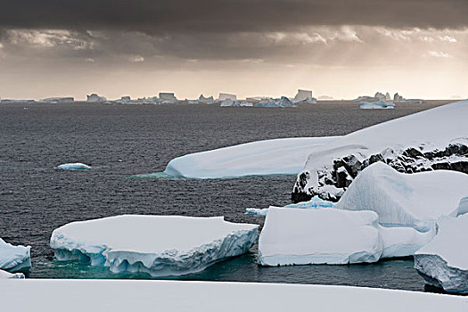 冰山,靠近,岛屿,南极