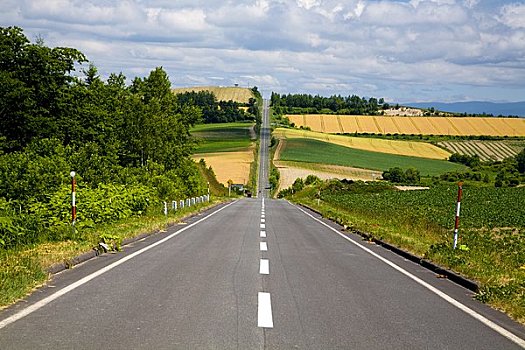 过山车,道路