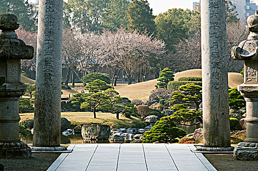 神社,花园,熊本,日本
