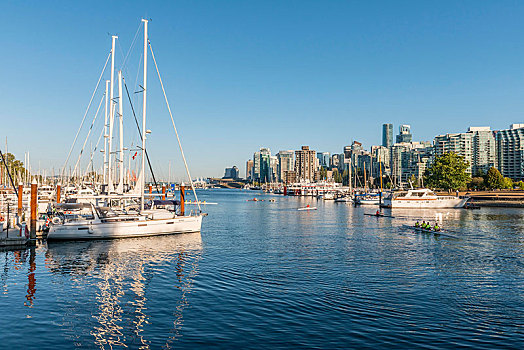 码头,帆船,背影,市中心,摩天大楼,煤,港口,温哥华,不列颠哥伦比亚省,加拿大,北美