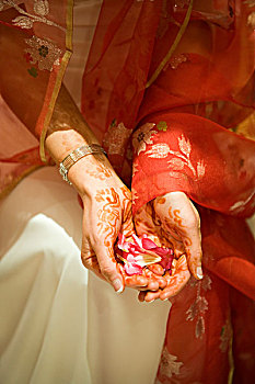 女人,散沫花染料,手,拿着,花,花瓣,穿,亚洲人,纱丽,印度,婚礼,典礼