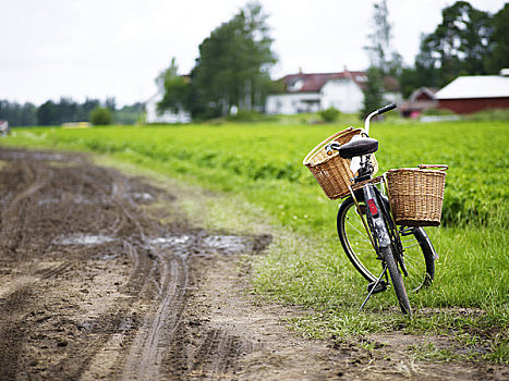 斯堪的纳维亚,瑞典,史马兰,自行车,旁侧,土路