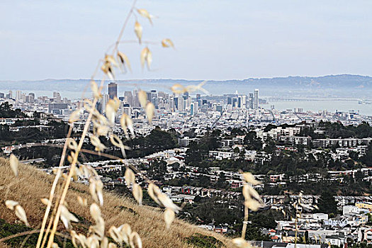 俯拍,城市,阴天,旧金山,加利福尼亚,美国
