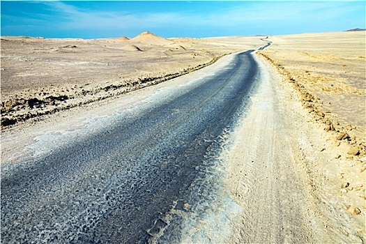 长,沙漠公路