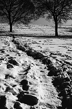 雪中小路