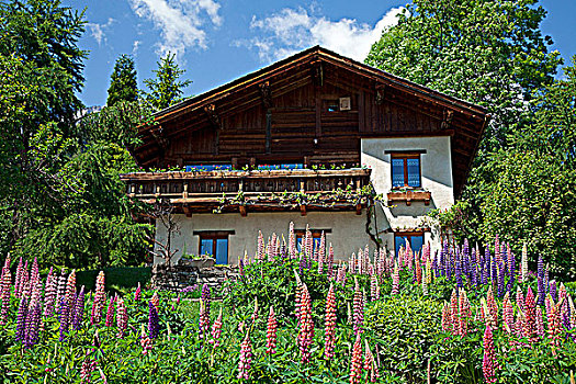 法国,阿尔卑斯山,上萨瓦,木房子