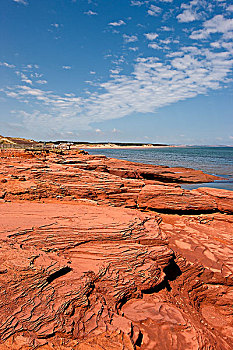 砂岩,悬崖,爱德华王子岛,国家公园,加拿大