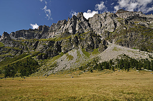 高,山景