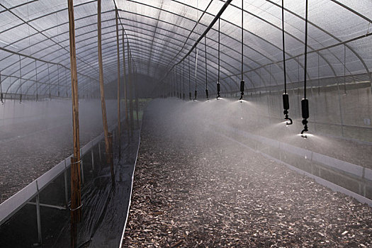 农业大棚种植自动喷淋系统