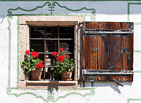 窗户,天竺葵,农舍,露天博物馆,萨尔茨堡州,奥地利,欧洲