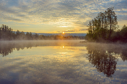 湖,晨雾,日出,巴登符腾堡,德国