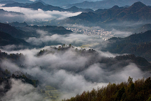 石潭,云海,安徽,山沟,油菜花,风光,壮观,气候,环境,仙境,诱惑,秀美,俯瞰,村庄