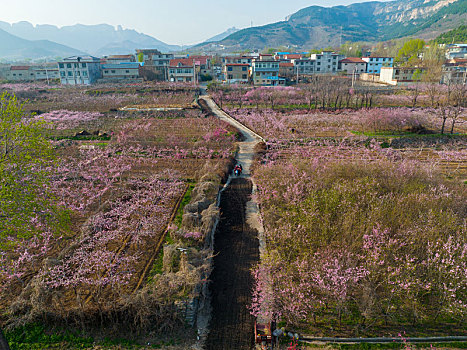 航拍济南卧虎山水库春暖花开