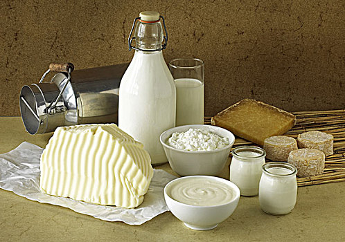 牛奶,商品,高脂肪乳脂,酸奶,软奶酪,黄油,奶酪