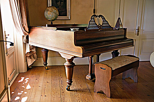 钢琴,客厅